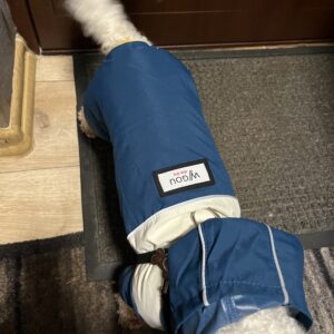 Pelerina Ploaie Pentru Catei, Gluga, Inel pentru lesa, Albastra #HC1801 photo review