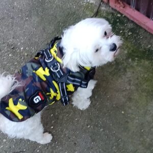 Vesta Impermeabila, Imblanita + Ham incorporat - Military Verde #HC299 photo review