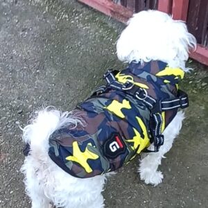 Vesta Impermeabila, Imblanita + Ham incorporat - Military Verde #HC299 photo review