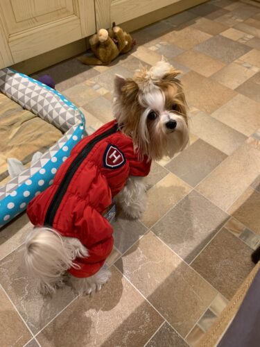 Salopeta Imblanita, Impermeabila, Inchidere cu Fermoar - Rosie #HC921 photo review