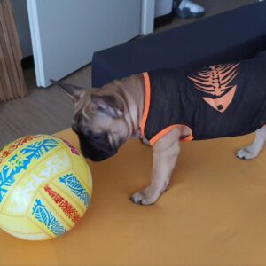 Tricou din plasa #HC1131 photo review