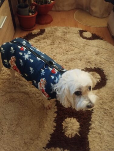 Vesta, Imblanita, Impermeabila, Inchidere cu fermoar, Inel pentru lesa #HC1912 photo review