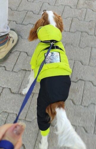 Salopeta cu gluga, imblanita, impermeabila - Verde #HC653 photo review