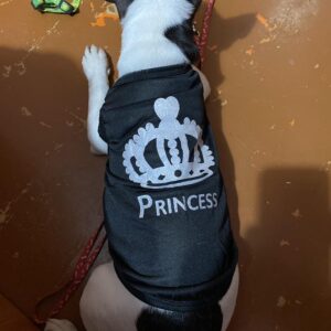 Tricou pentru catei - Princess - Negru #HC1042 photo review