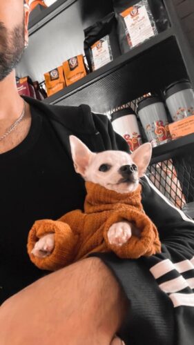 Pulover Tricotat, Crem #HC624 photo review