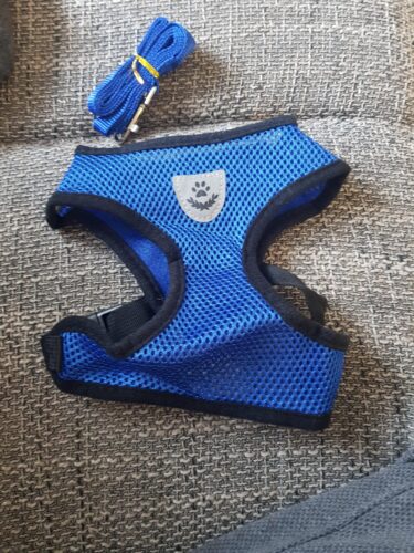 Set Ham + Lesa - Albastru #HH08 photo review