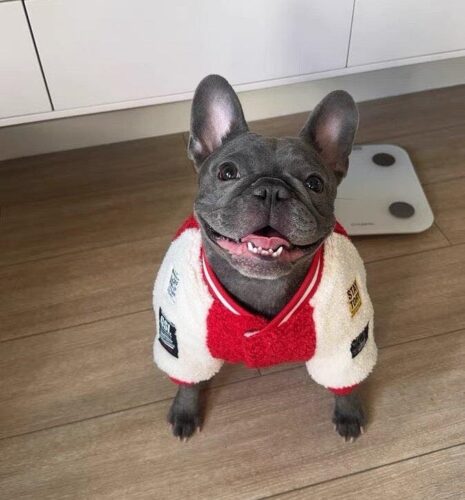 Hanorac Bulldog - Rosu #HC1945 photo review