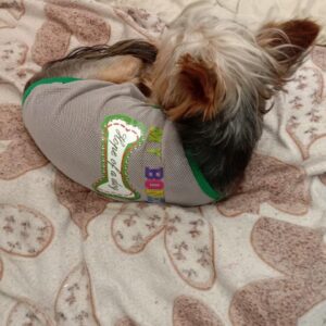 Tricou din plasa - My Bone #HC1130 photo review