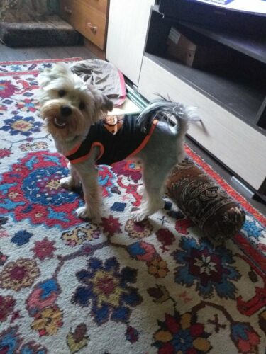 Tricou din plasa #HC1131 photo review