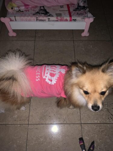 Tricou pentru catei - Princess - Roz #HC1652 photo review