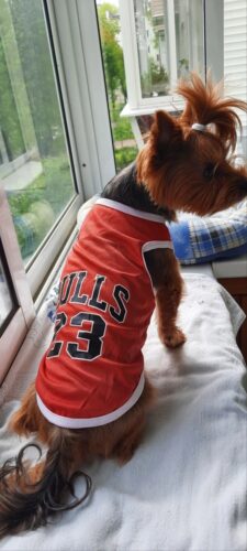 Tricou Baschet #HC1217 photo review