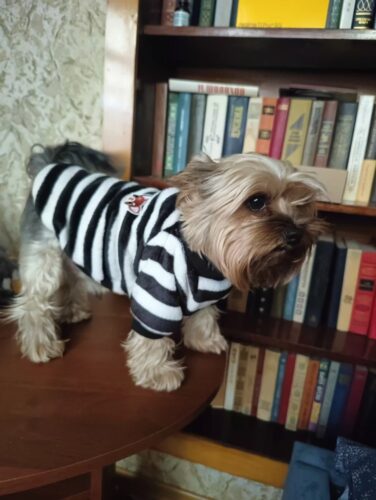 Bluza Pufoasa - Negru/Alb #HC1705 photo review