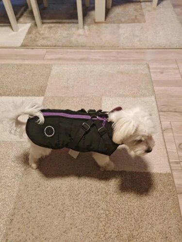 Vesta Impermeabila, Imblanita + Ham incorporat - Neagra #HC1581 photo review