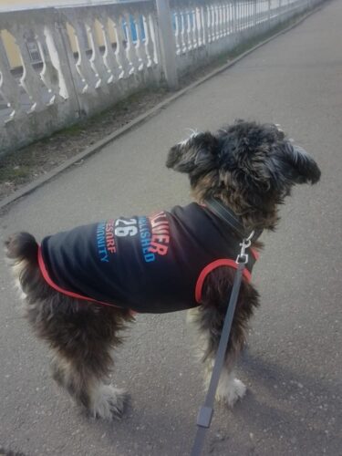 Tricou Baschet #HC1218 photo review