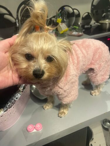 Salopeta pufoasa cu inel pentru lesa, Roz #HC1321 photo review