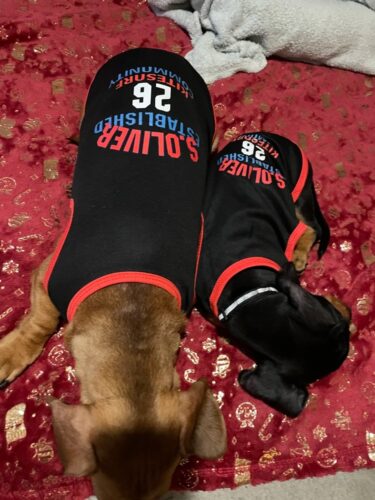 Tricou Baschet #HC1218 photo review