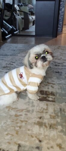 Bluza Pufoasa - Maro/Alb #HC1706 photo review