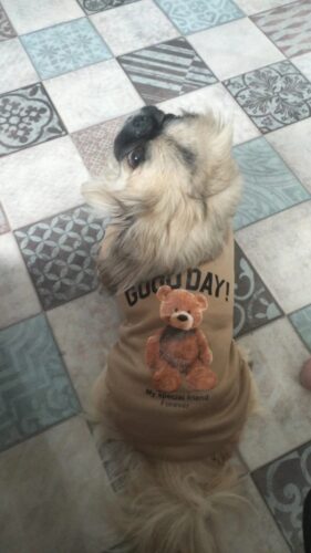 Bluza Crem - Good Day #H543 photo review