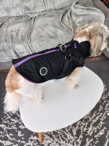 Vesta Impermeabila, Imblanita + Ham incorporat - Neagra #HC1581 photo review