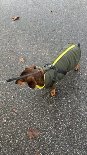 Vesta Impermeabila, Imblanita + Ham incorporat - Kaki #HC1583 photo review