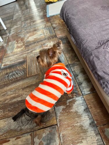 Bluza Pufoasa - Portocaliu/Alb #HC1707 photo review