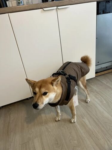 Vesta Impermeabila, Imblanita + Ham incorporat - Kaki #HC1583 photo review