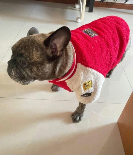 Hanorac Bulldog - Rosu #HC1945 photo review