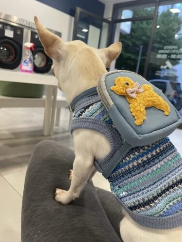 Set Ham Ajustabil Tip Ghiozdanel - Albastru #HH60 photo review