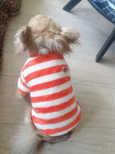 Bluza Pufoasa - Portocaliu/Alb #HC1707 photo review