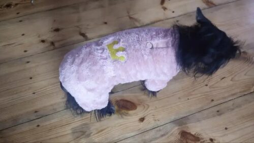 Salopeta Pufoasa, Inel pentru lesa, Roz #HC1808 photo review