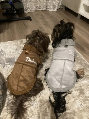 Vesta tip cojoc, Imblanita, Gri #HC1290 photo review