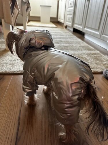 Salopeta imblanita, impermeabila, Argintiu #HC547 photo review