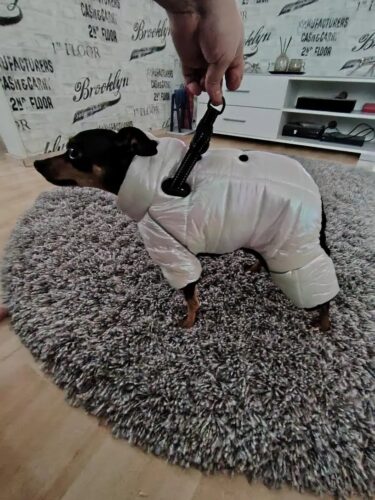 Salopeta Imblanita, Impermeabila, Inel Pentru Lesa HC1758-1764 photo review