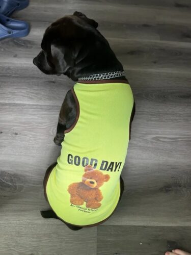 Tricou pentru catei - Good Day - Verde Neon #HC1632 photo review