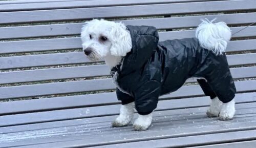 Salopeta imblanita, impermeabila, Neagra #HC548 photo review