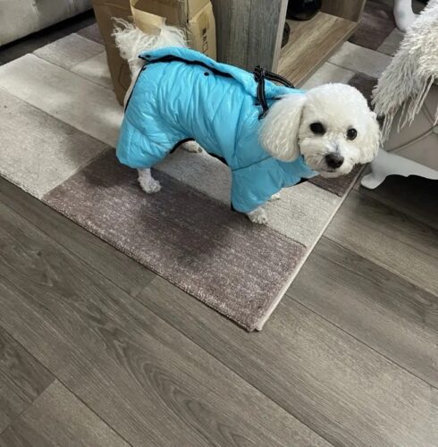 Salopeta Imblanita, Impermeabila, Inel Pentru Lesa HC1758-1764 photo review