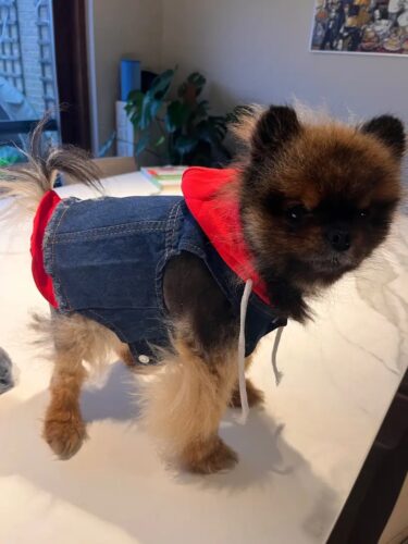 Vesta de Blugi cu Gluga Rosie #HC591 photo review