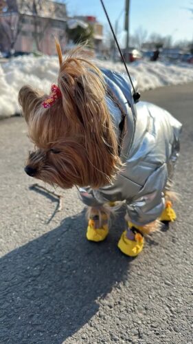 Salopeta imblanita, impermeabila, Argintiu #HC547 photo review