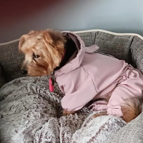 Pelerina Ploaie Pentru Catei, Roz #HC351 photo review