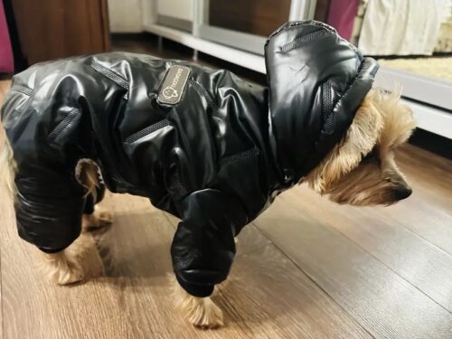 Salopeta imblanita, impermeabila, Neagra #HC548 photo review