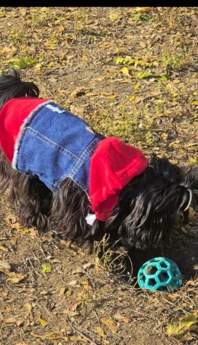 Vesta de Blugi cu Gluga Rosie #HC591 photo review