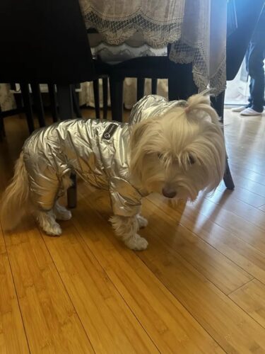 Salopeta imblanita, impermeabila, Argintiu #HC547 photo review