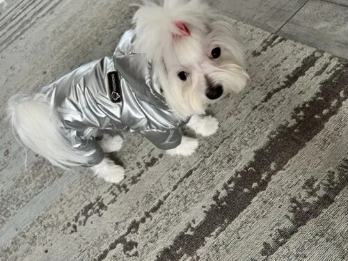 Salopeta imblanita, impermeabila, Argintiu #HC547 photo review