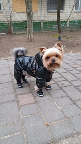 Salopeta imblanita, impermeabila, Neagra #HC548 photo review