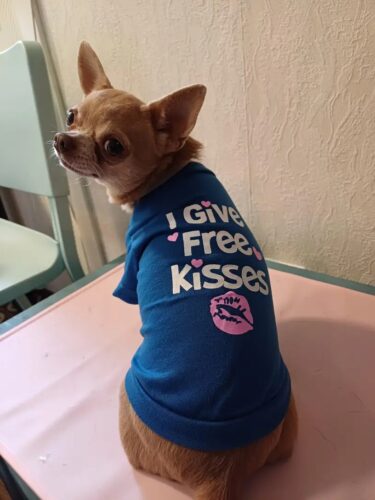 Tricou - Free Kisses - Albastru #HC1040 photo review