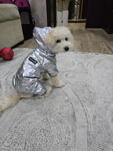 Salopeta imblanita, impermeabila, Argintiu #HC547 photo review