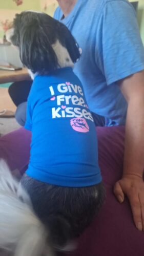 Tricou - Free Kisses - Albastru #HC1040 photo review