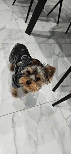 Salopeta imblanita, impermeabila, Neagra #HC548 photo review