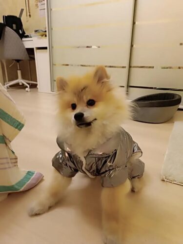 Salopeta argintie, imblanita, impermeabila #HC185 photo review