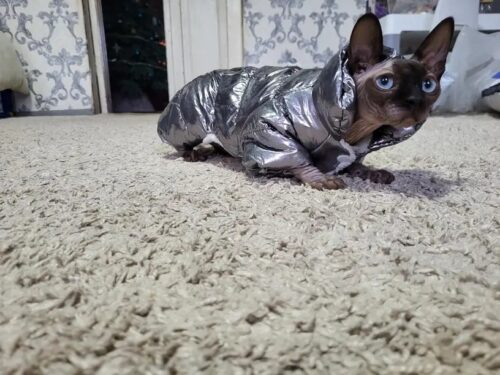 Salopeta argintie, imblanita, impermeabila #HC185 photo review